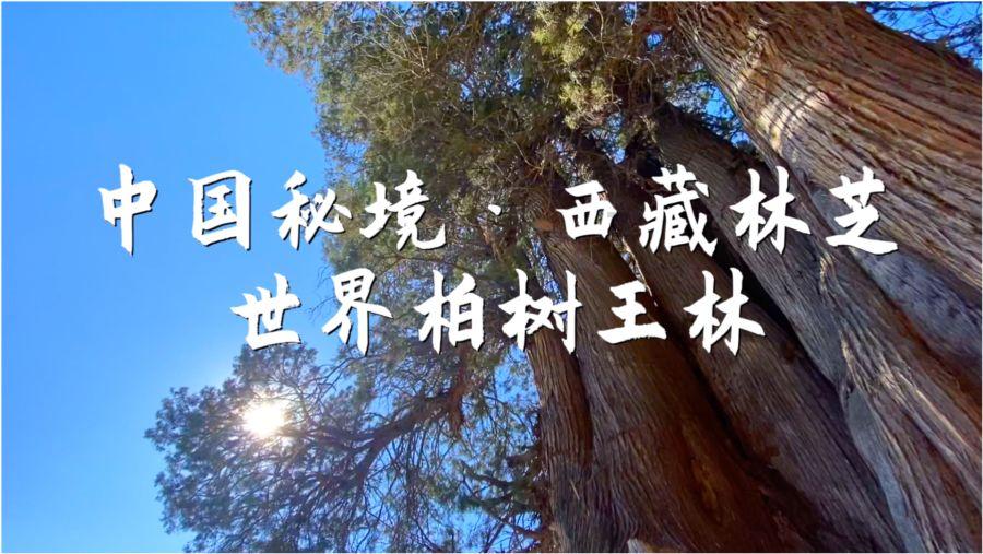 苏州吴州医院儿科：自闭症患儿的早期症状！有哪些被忽视？