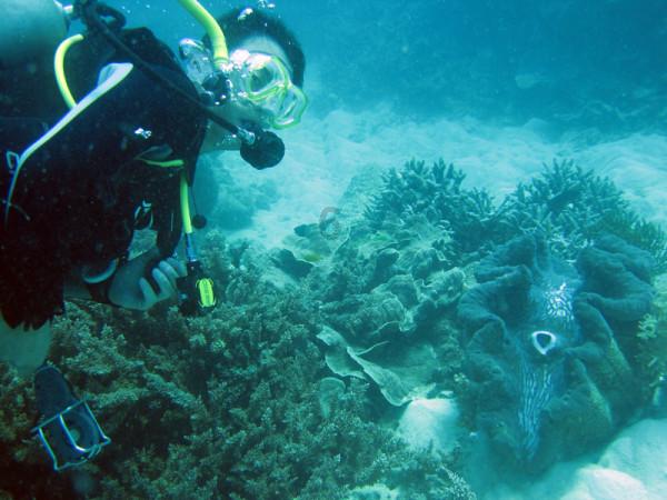 中国与老挝携手维护生态环境安全 边境区域联防林草虫害